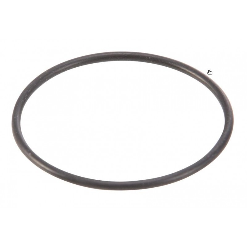 O-RING SUPPORTO PINZA FRENO Ø 38 mm X 1,7mm