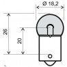 LAMPADINA 12V 5W BIANCA