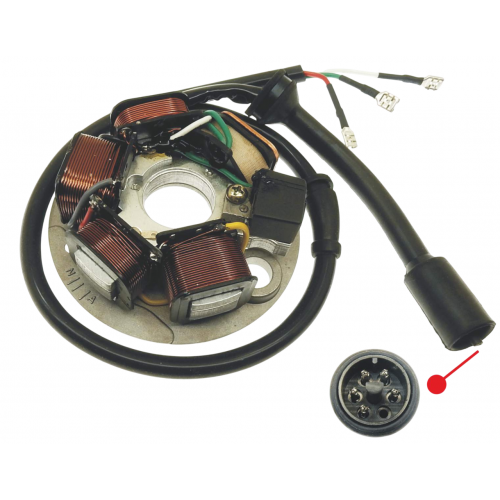 432571 - STATORE (N.3 FILI...