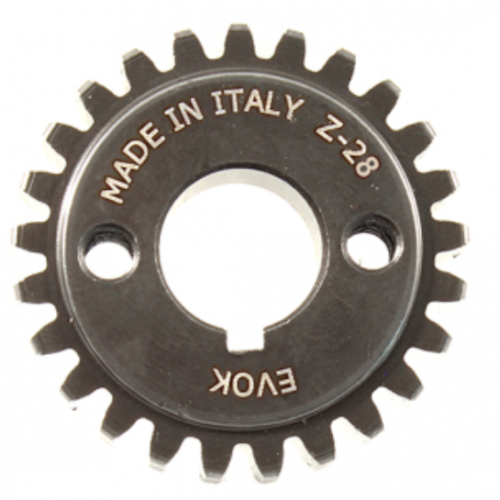 343891 - PIGNONE Z26X69...