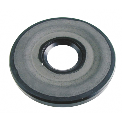 4220 - PARAOLIO 20x62x6,5...