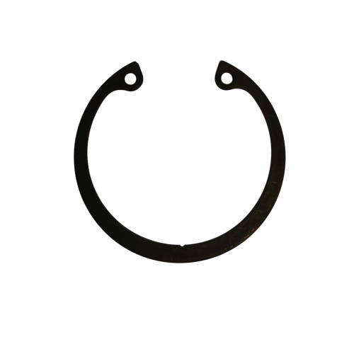 006647 - ANELLO SEGGER D....